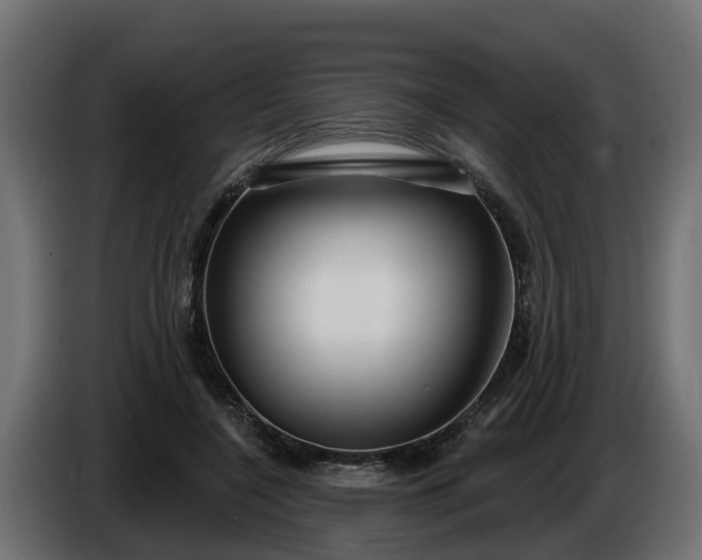 X0000086320548200704131655