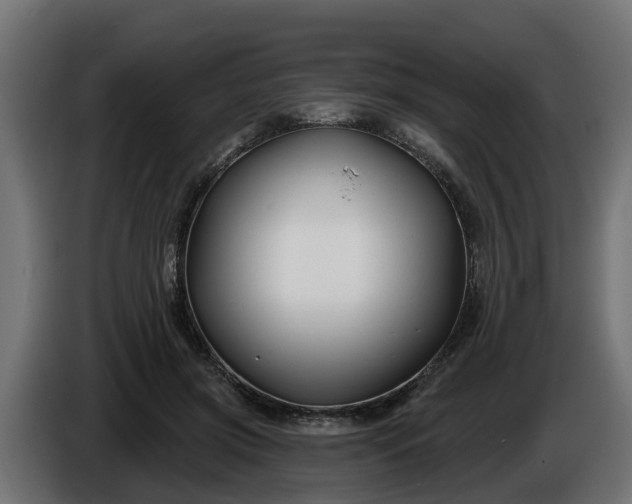 X0000086320549200704131655