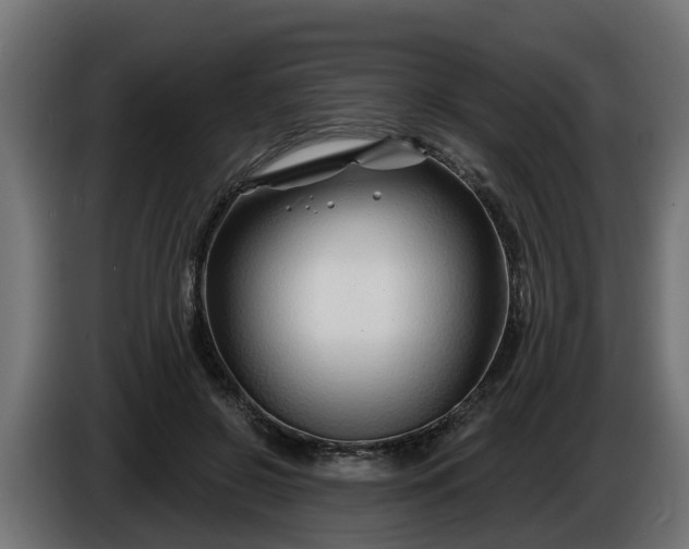 X0000086320550200704131656