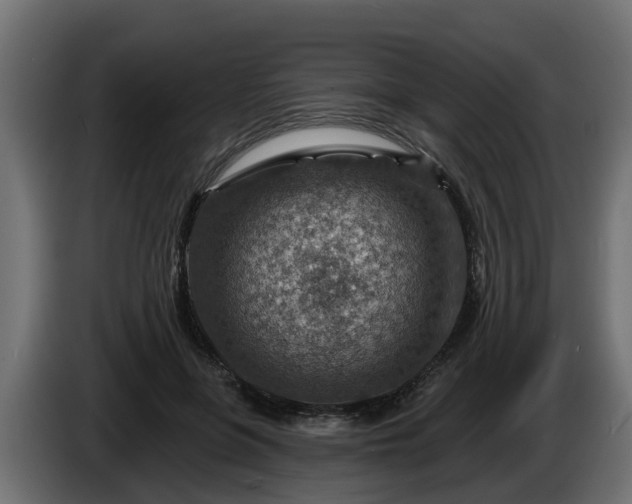 X0000086320551200704131656