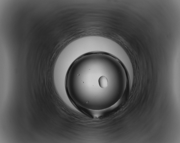 X0000086320552200704131656