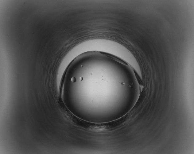 X0000086320554200704131656