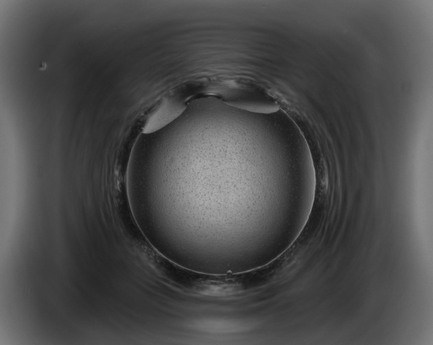 X0000086320555200704131656