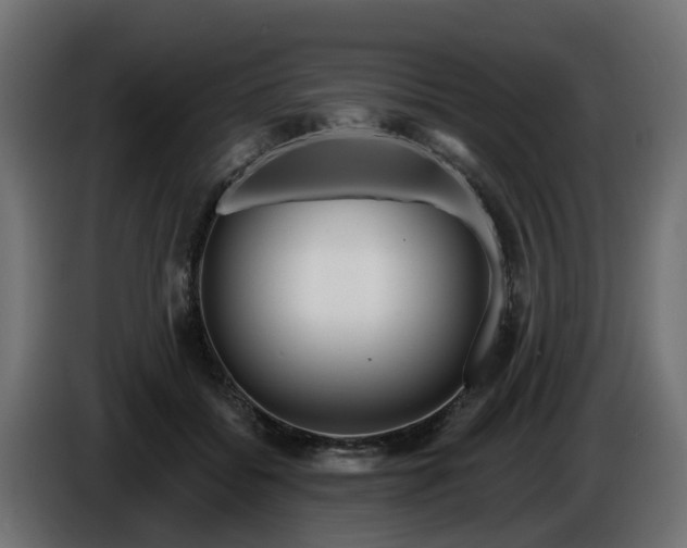 X0000086320556200704131656