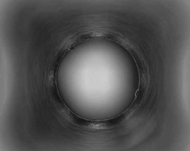 X0000086320557200704131656