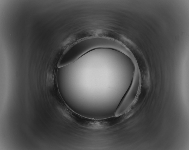 X0000086320558200704131656