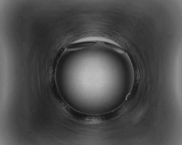 X0000086320559200704131656