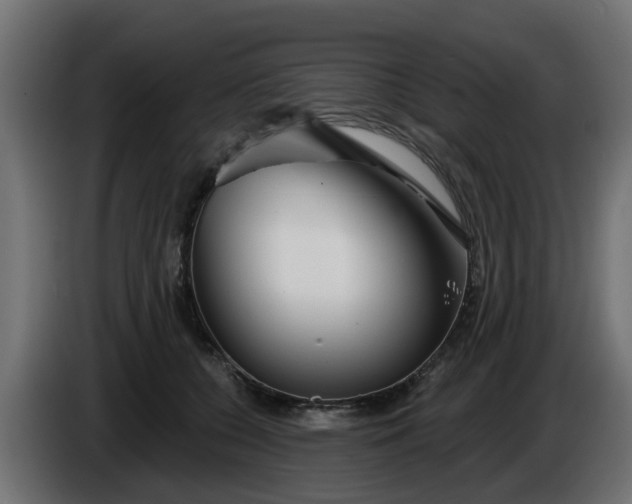 X0000086320560200704131656