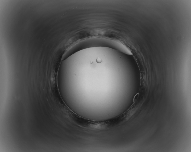 X0000086320561200704131656