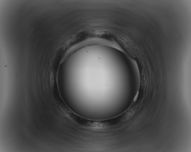 X0000086320562200704131656