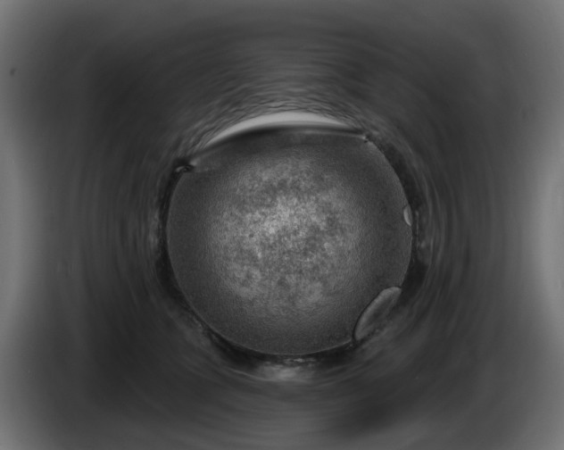 X0000086320563200704131656