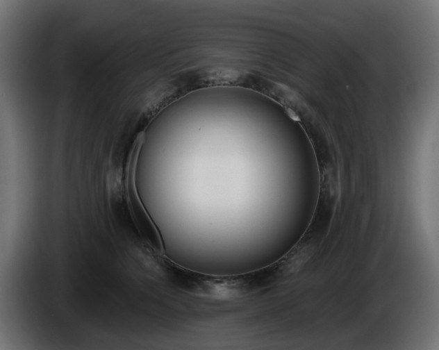 X0000086320564200704131656