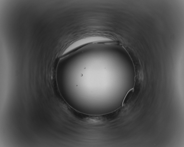 X0000086320567200704131656