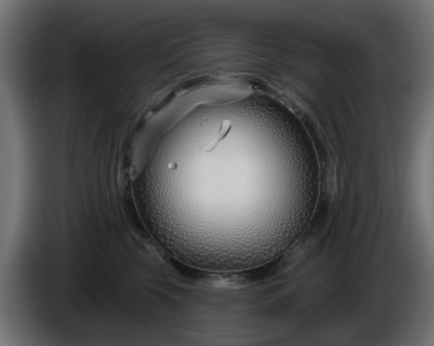 X0000086320569200704131656