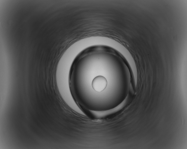 X0000086320570200704131656