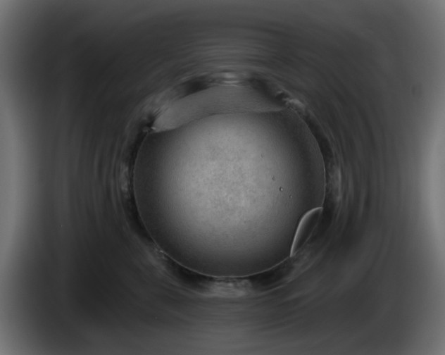 X0000086320571200704131656