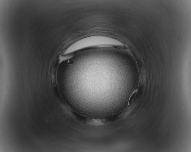 X0000086320573200704131656