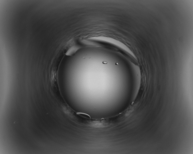 X0000086320574200704131656