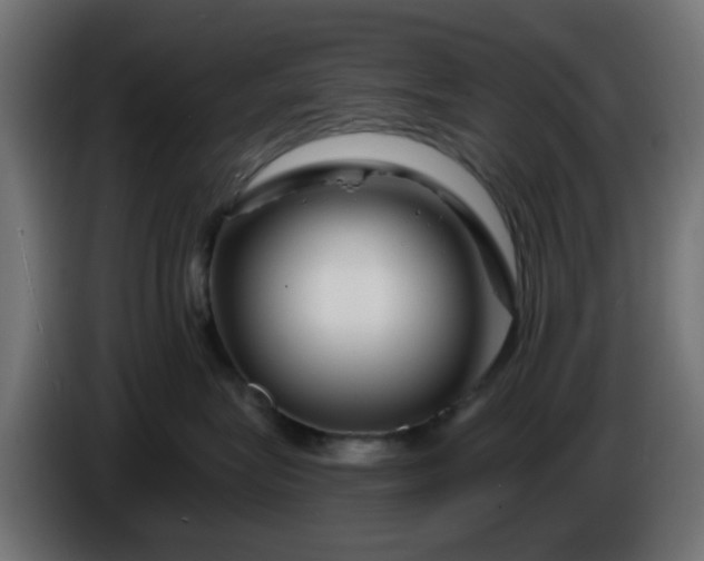 X0000086320575200704131656