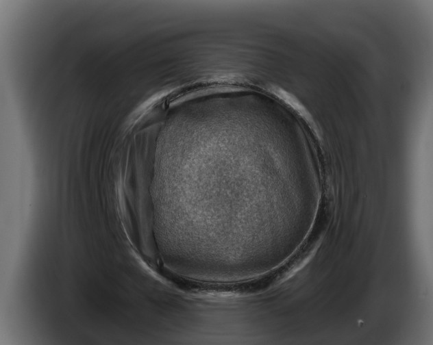 X0000086320577200704131655