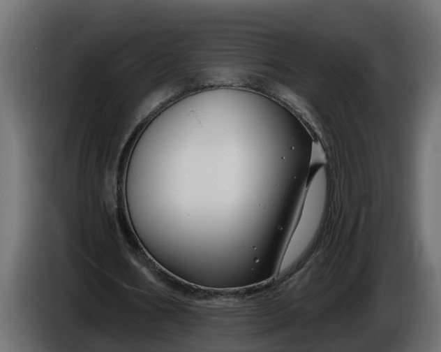 X0000086320578200704131655