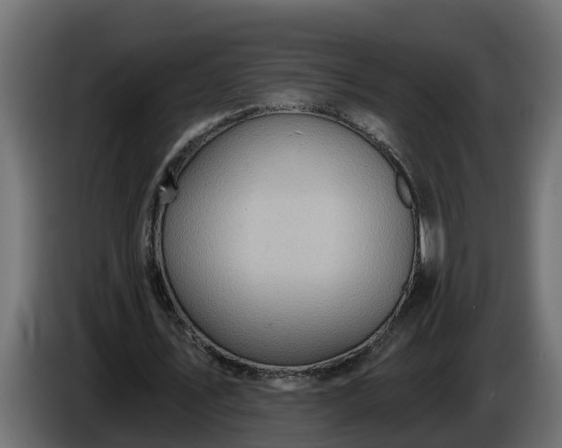 X0000086320579200704131655