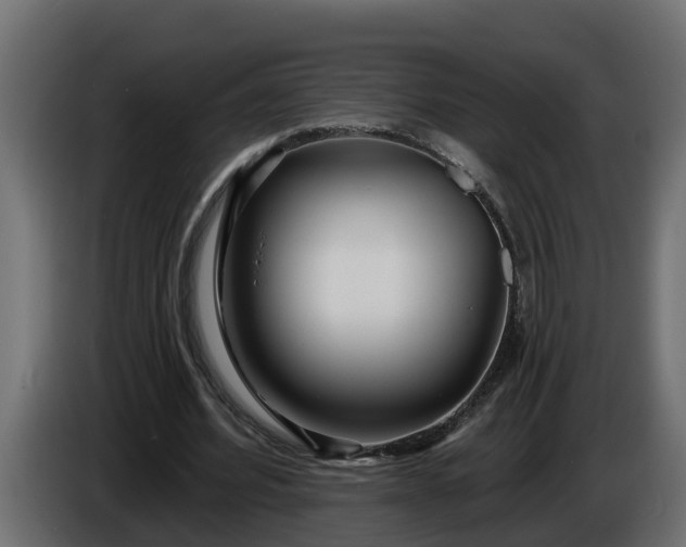 X0000086320580200704131655