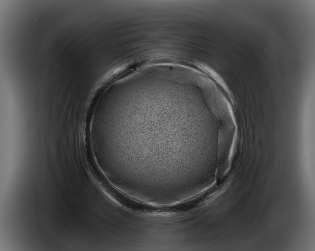 X0000086320581200704131655