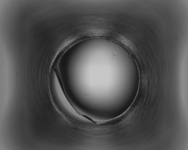 X0000086320582200704131655