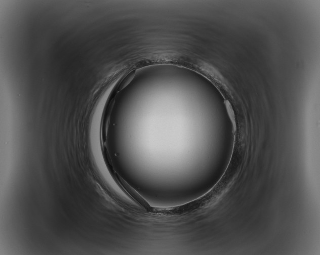 X0000086320585200704131655