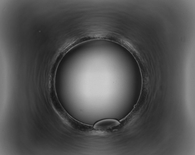 X0000086320586200704131655