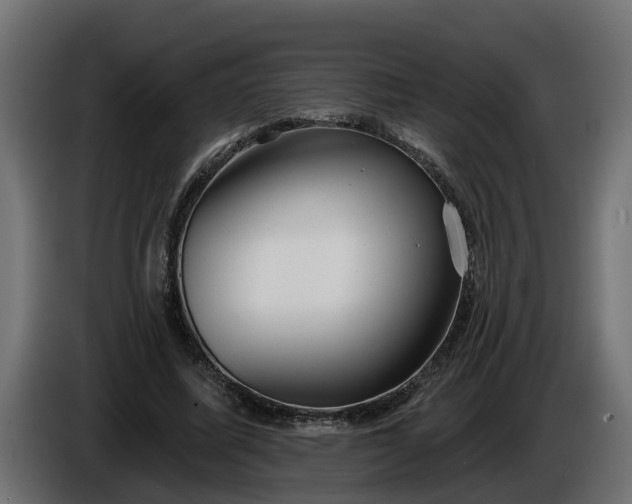 X0000086320587200704131655