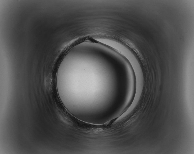 X0000086320588200704131655