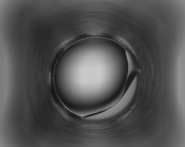 X0000086320589200704131655