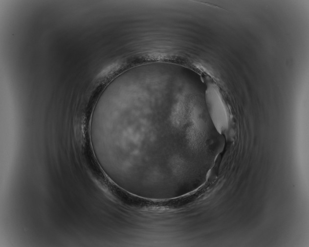 X0000086320590200704131655