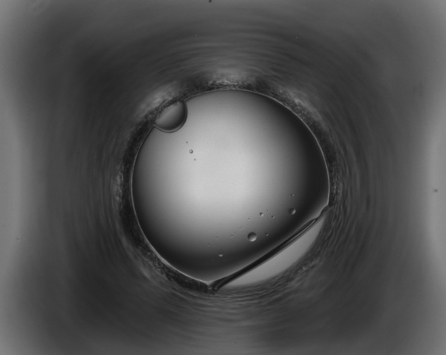 X0000086320591200704131655