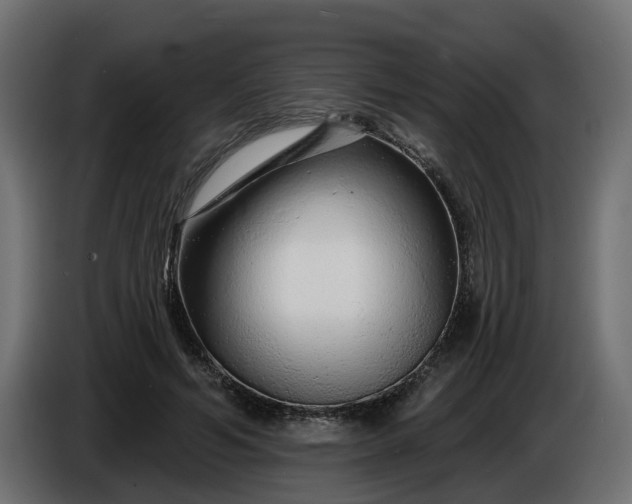 X0000086320594200704131655