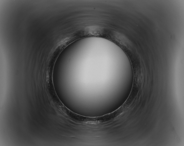 X0000086320595200704131655