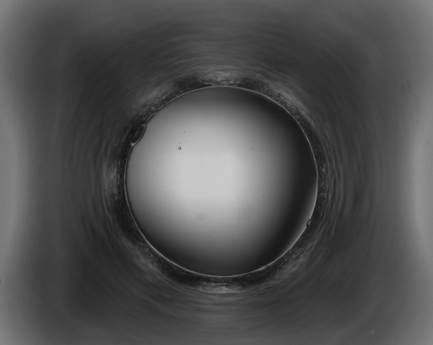 X0000086320597200704131655