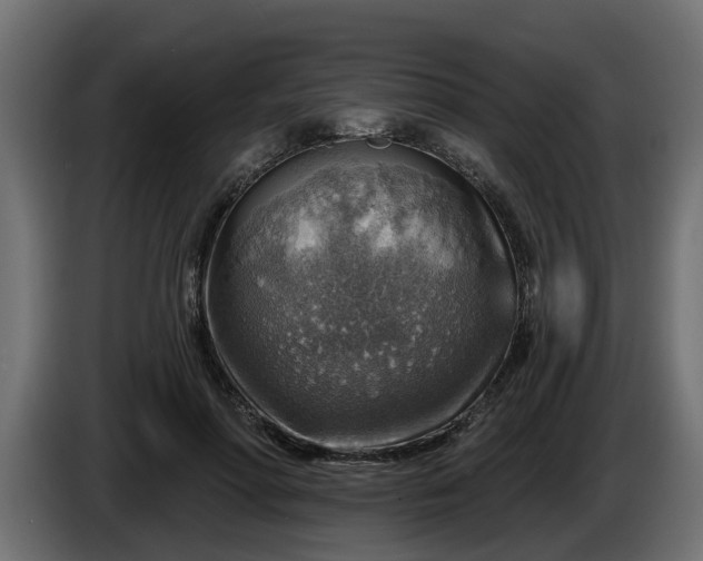 X0000086320598200704131655