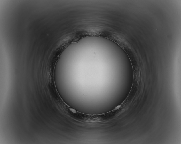 X0000086320599200704131655