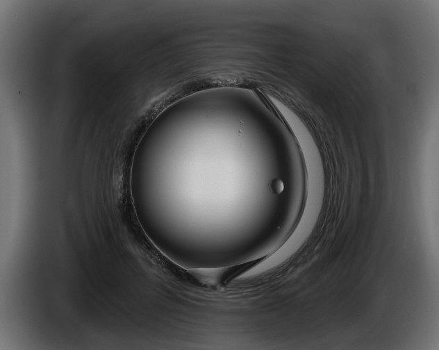 X0000086320600200704131655