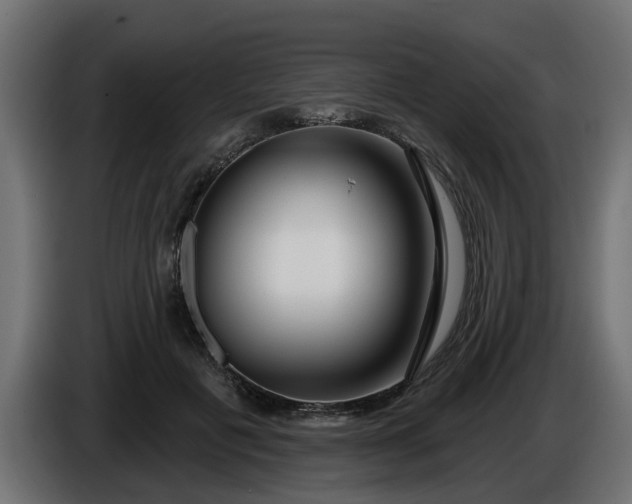 X0000086320601200704131655