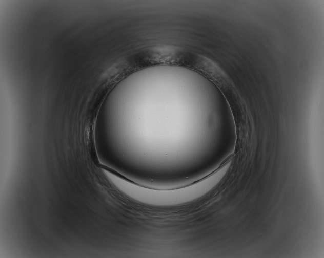 X0000086320602200704131655