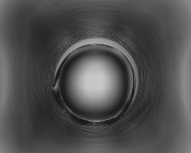 X0000086320604200704131655