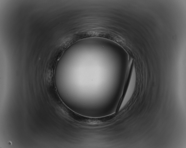 X0000086320605200704131655