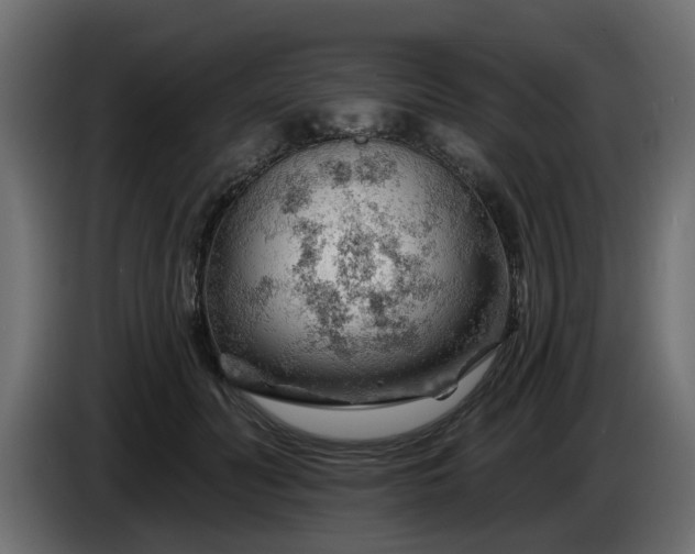 X0000086320606200704131655