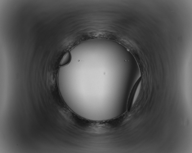 X0000086320607200704131655