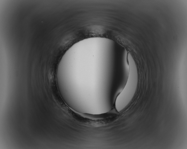 X0000086320608200704131655