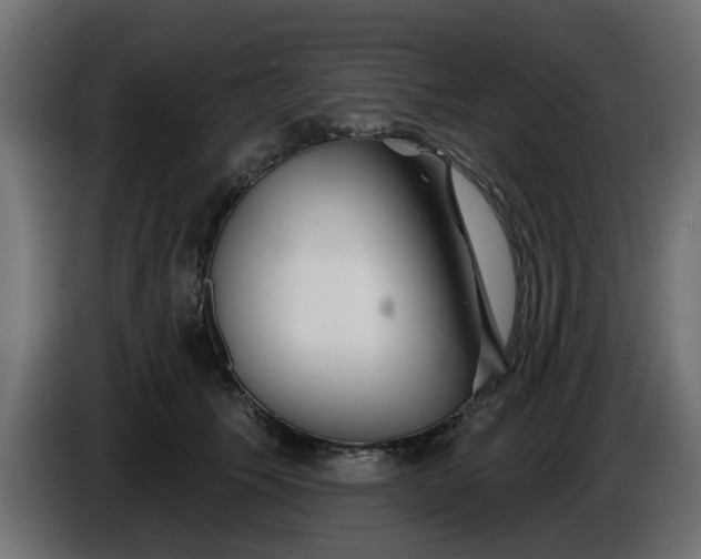 X0000086320609200704131655